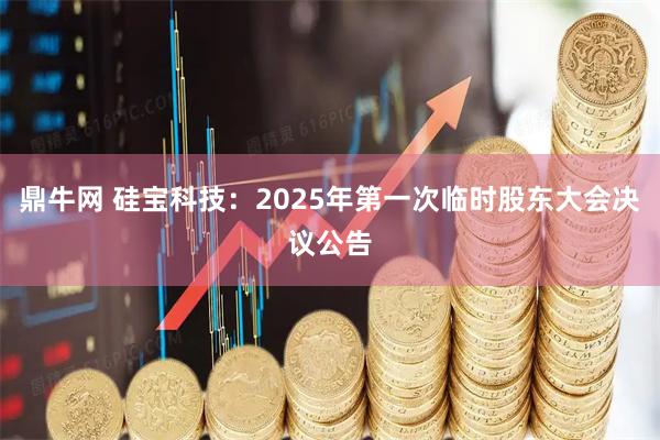 鼎牛网 硅宝科技：2025年第一次临时股东大会决议公告