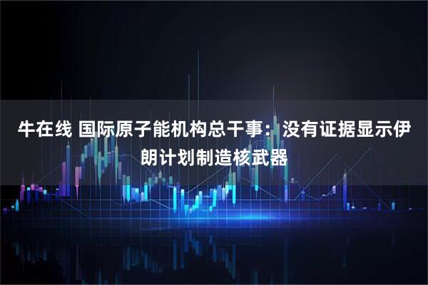 牛在线 国际原子能机构总干事：没有证据显示伊朗计划制造核武器