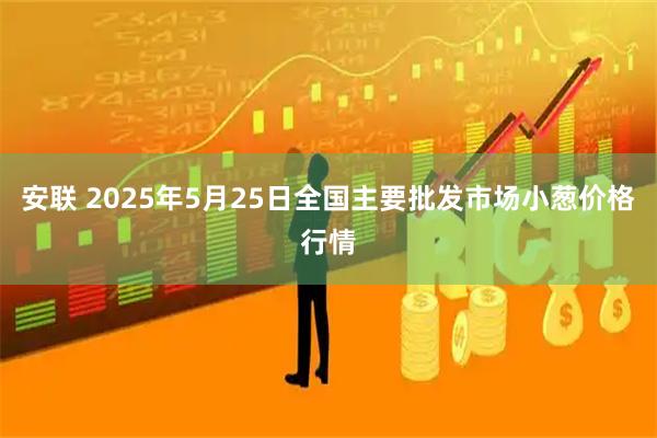 安联 2025年5月25日全国主要批发市场小葱价格行情