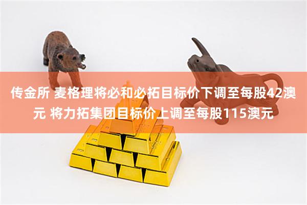 传金所 麦格理将必和必拓目标价下调至每股42澳元 将力拓集团目标价上调至每股115澳元