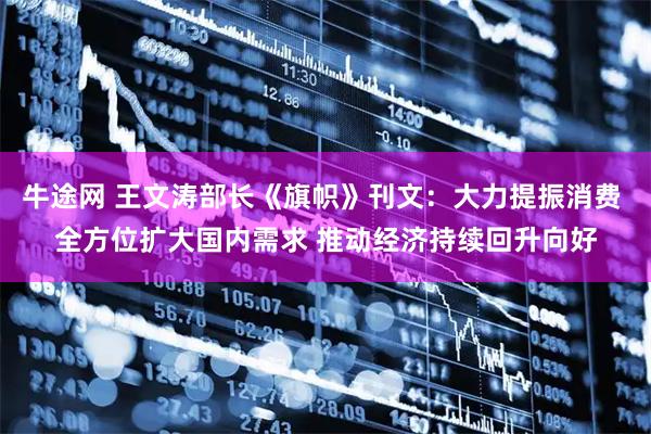 牛途网 王文涛部长《旗帜》刊文：大力提振消费 全方位扩大国内需求 推动经济持续回升向好