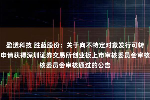 盈透科技 胜蓝股份：关于向不特定对象发行可转换公司债券申请获得深圳证券交易所创业板上市审核委员会审核通过的公告