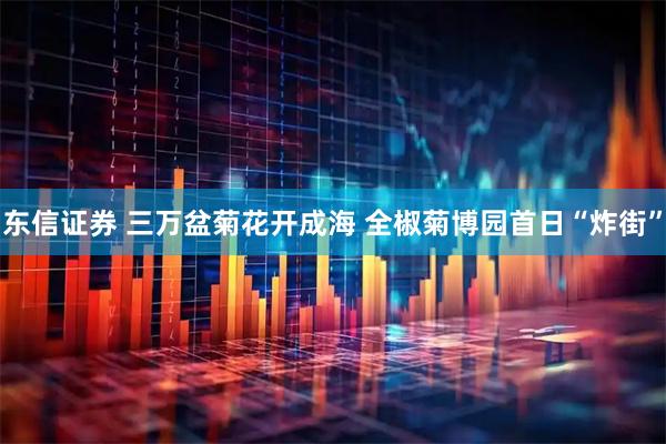 东信证券 三万盆菊花开成海 全椒菊博园首日“炸街”
