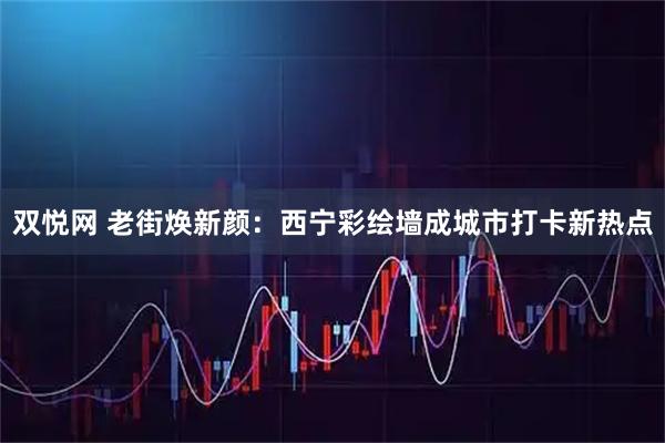 双悦网 老街焕新颜：西宁彩绘墙成城市打卡新热点