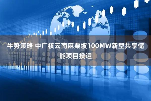 牛势策略 中广核云南麻栗坡100MW新型共享储能项目投运
