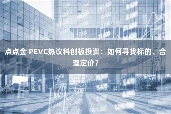 点点金 PEVC热议科创板投资：如何寻找标的、合理定价？