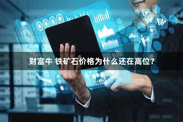 财富牛 铁矿石价格为什么还在高位？