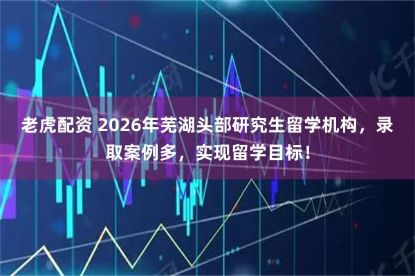 老虎配资 2026年芜湖头部研究生留学机构，录取案例多，实现留学目标！